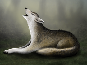 Animals3