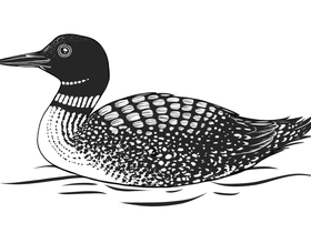 Animals3