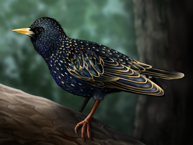 Animals3